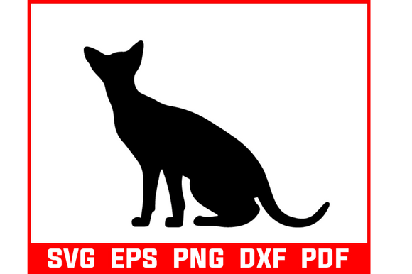 Black Cat Bundle Svg Review for Embroidery Projects